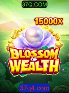Explorando o Maravilhoso Mundo de BlossomofWealth